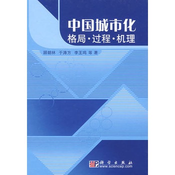 中國城市化格局、過程、機理