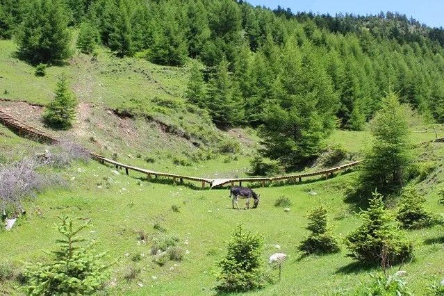 神池國家登山步道