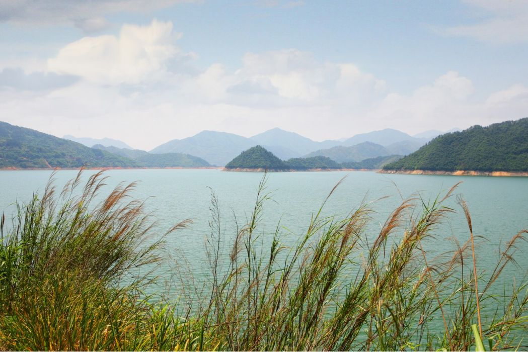 湖北赤壁陸水湖國家濕地公園