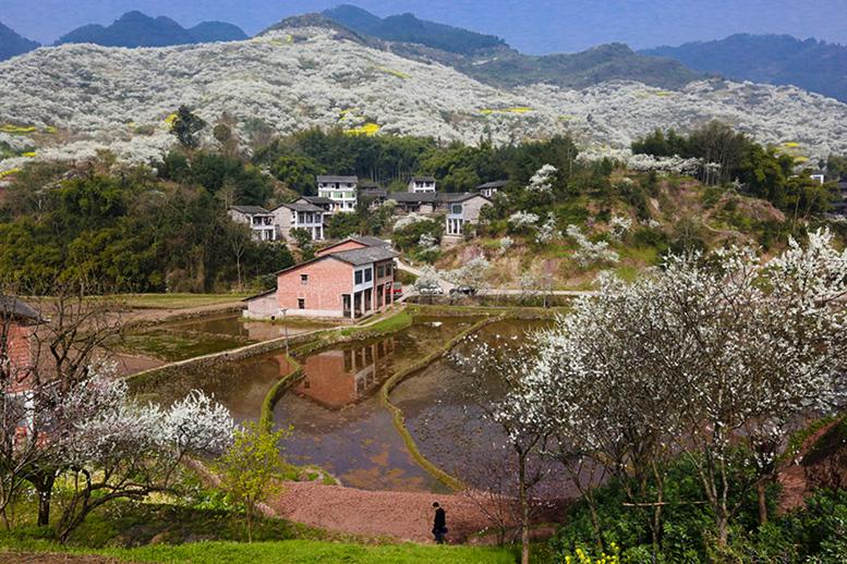 河灣村(四川省​達州市達川區黃都鄉河灣村)