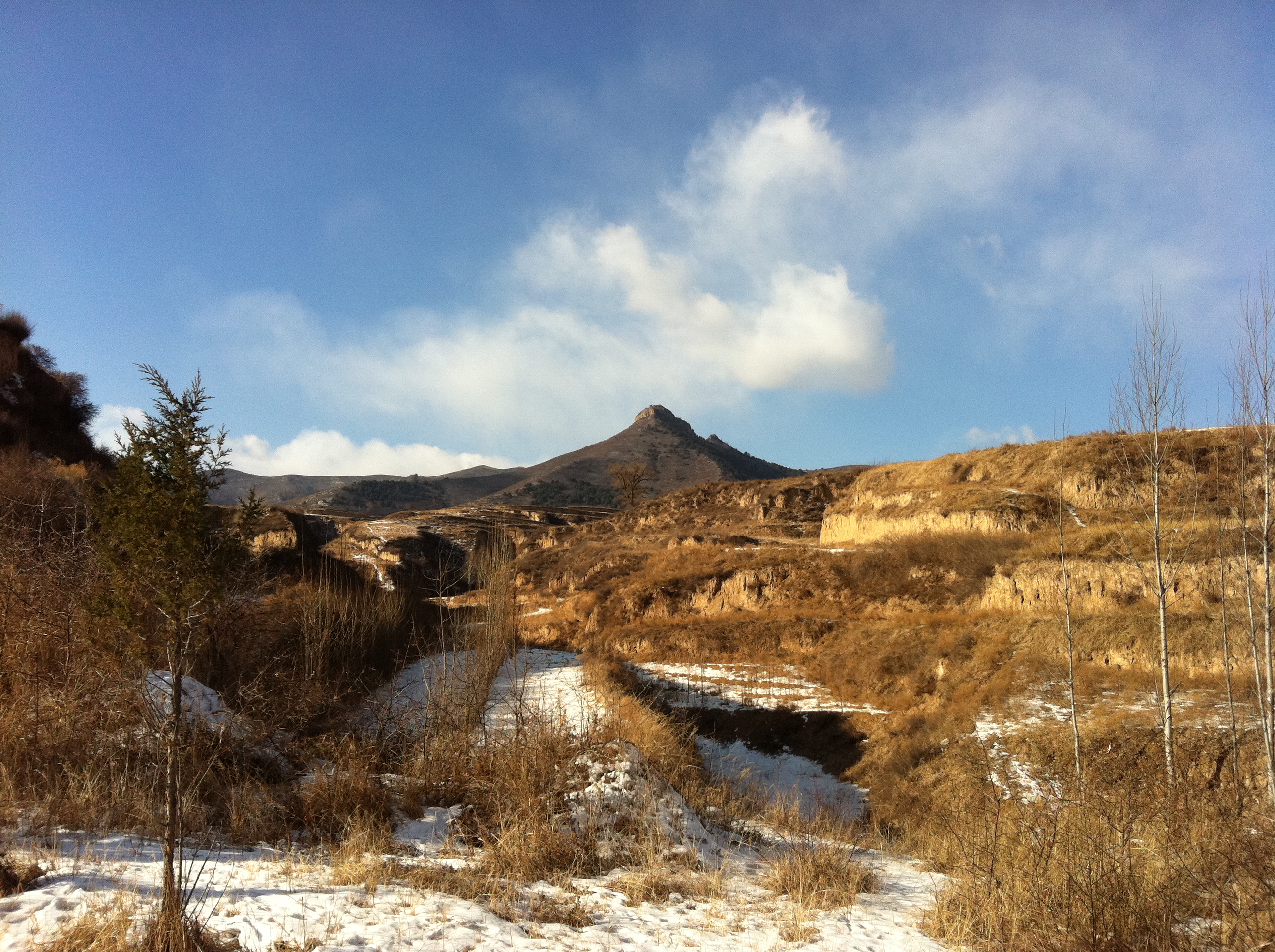 寺旁山峰-奶頭山