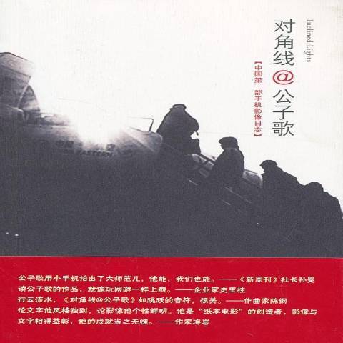 對角線(2013年四川美術出版社出版的圖書)