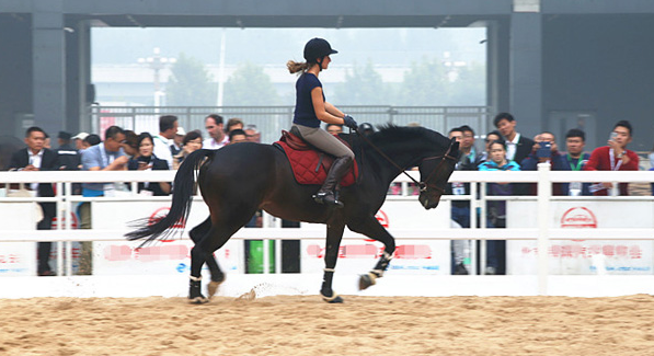 2010第四屆中國國際馬業馬術展覽會