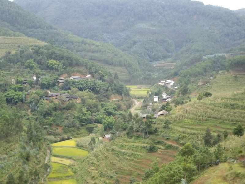 陶家水溝村