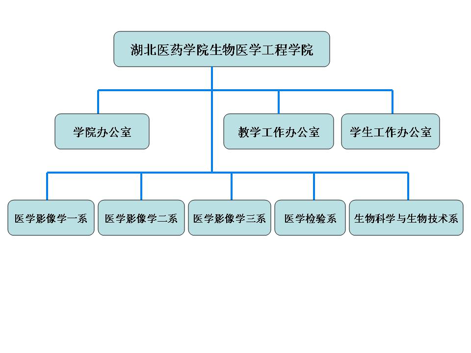 湖北醫藥學院生物醫學工程學院機構設定