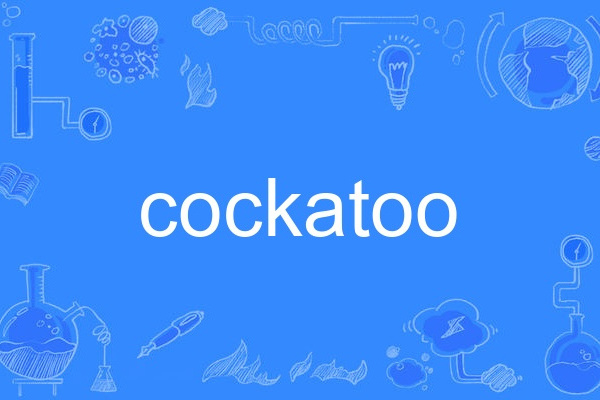 cockatoo