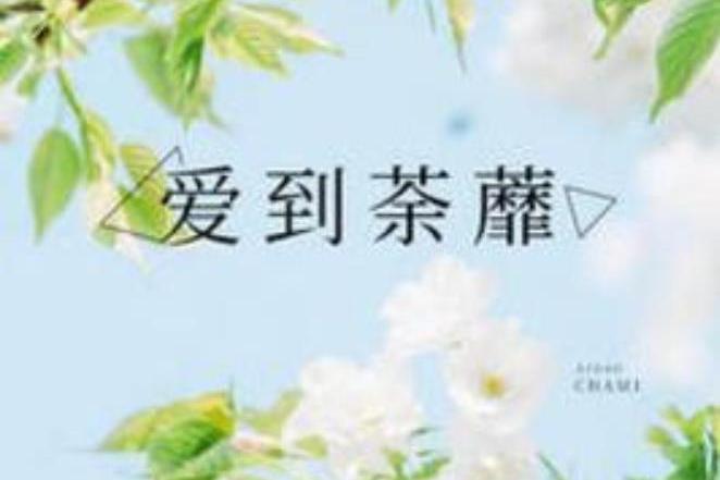 愛到荼蘼(子非子所著小說)