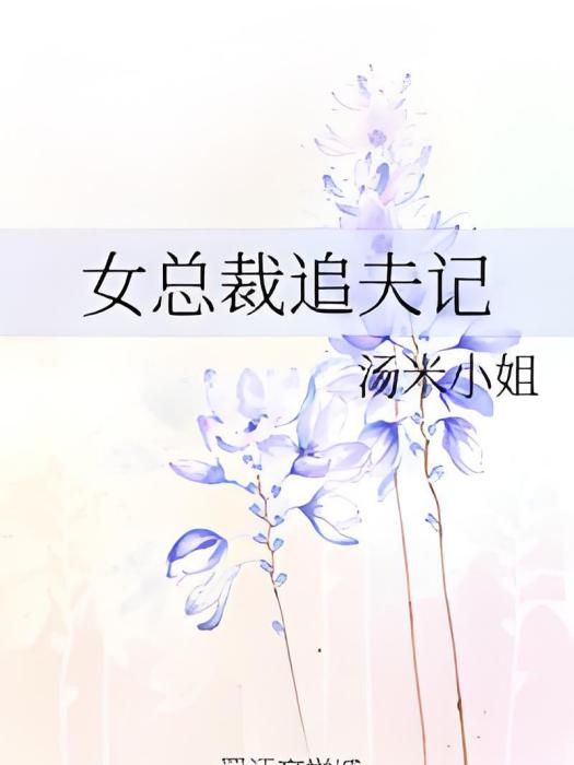 女總裁追夫記