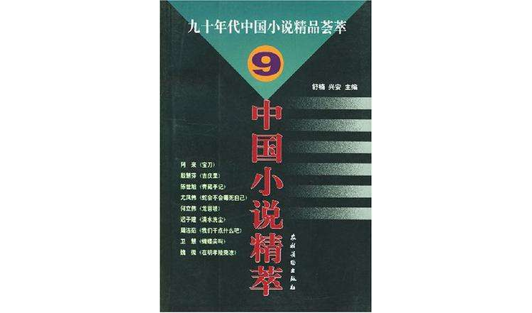 九十年代中國小說精品薈萃·9