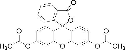 二乙酸螢光素
