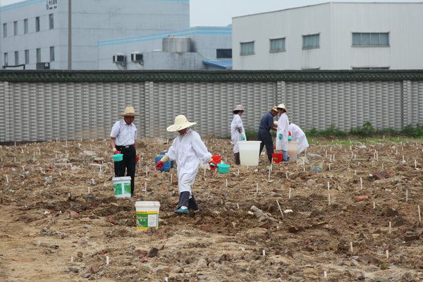 污染場地修復