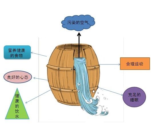 煙霧淨化