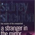 A Stranger in the Mirror(2006年Harper & Row出版的圖書)