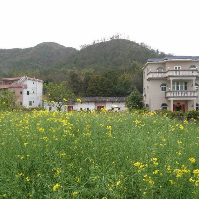 秀田村(貴州省天柱縣竹林鄉下轄村)