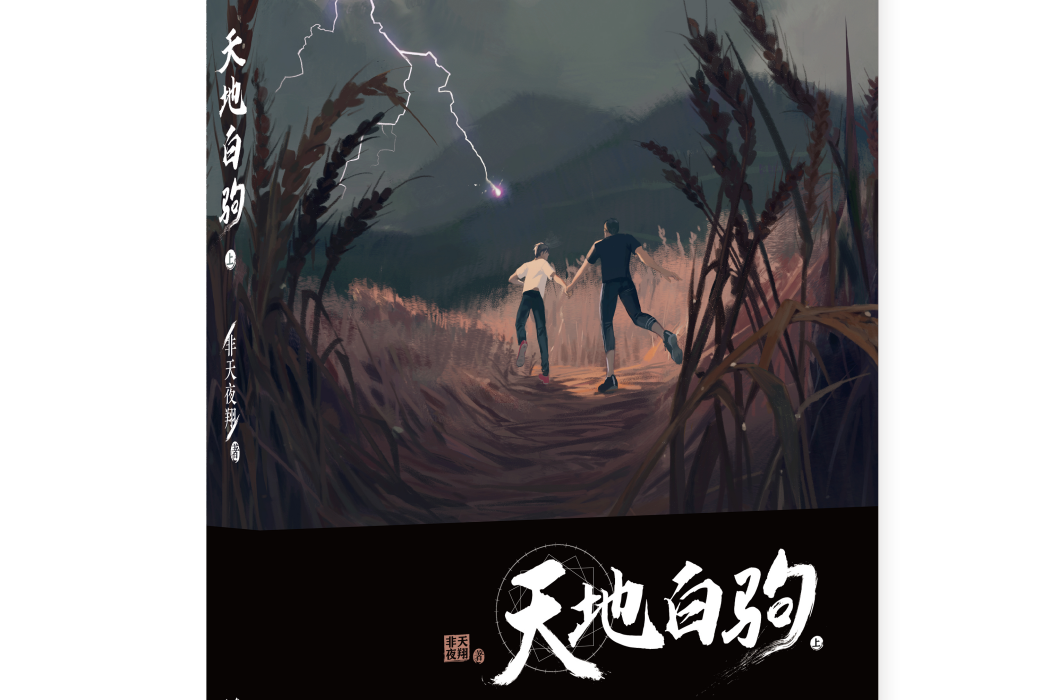 天地白駒(非天夜翔創作的小說)