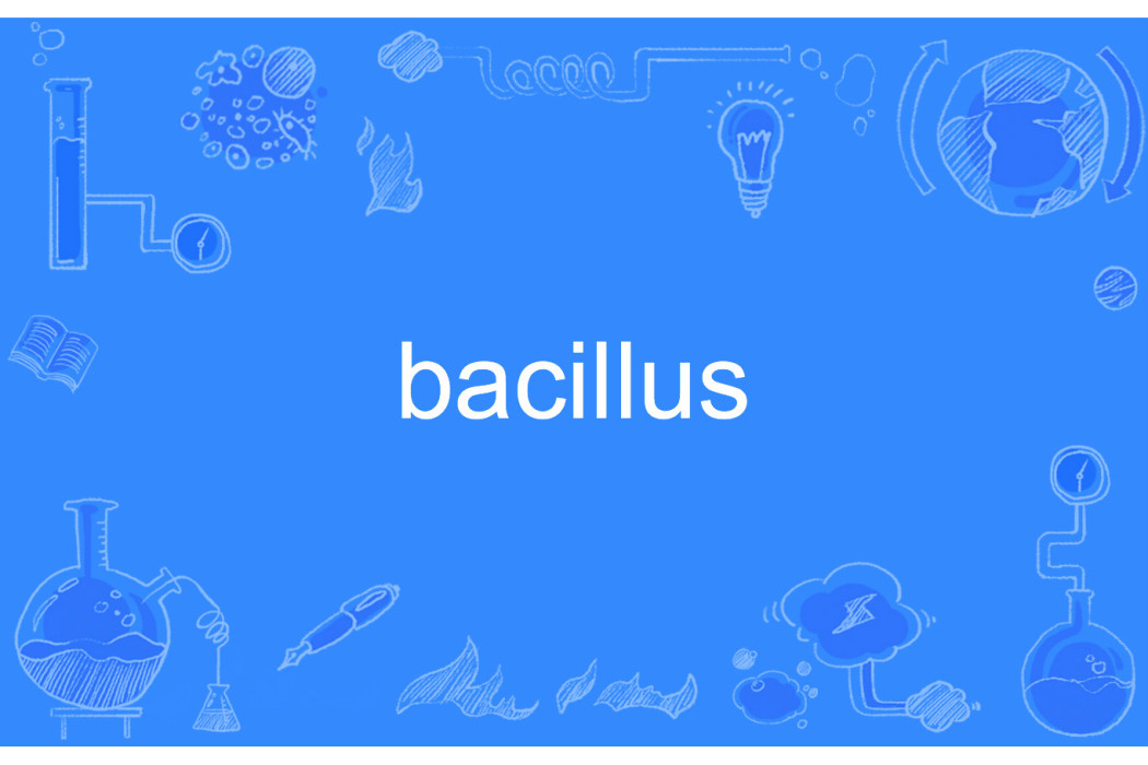 bacillus