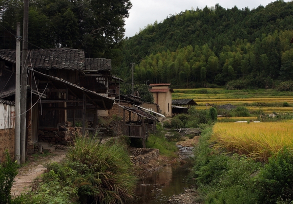 雙墩村(安徽省六安市舒城縣柏林鄉雙墩村)