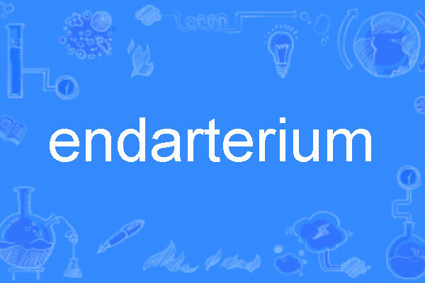 endarterium