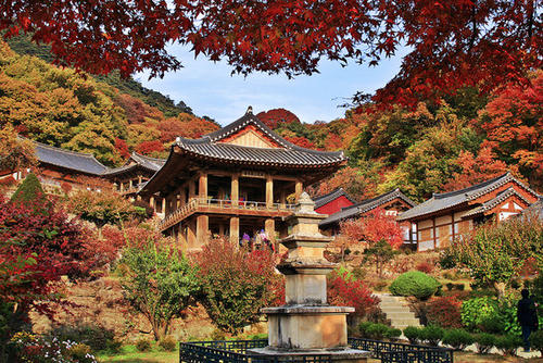 山寺-韓國佛教名山寺廟