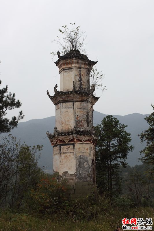 洞口村(湖南省張家界市桑植縣官地坪鎮下轄村)