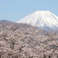 鰍澤町