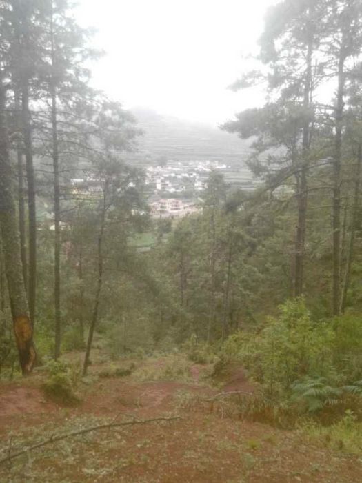 昆明市祿勸縣馬鹿塘鄉三發村