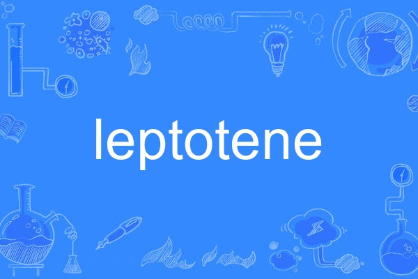 leptotene