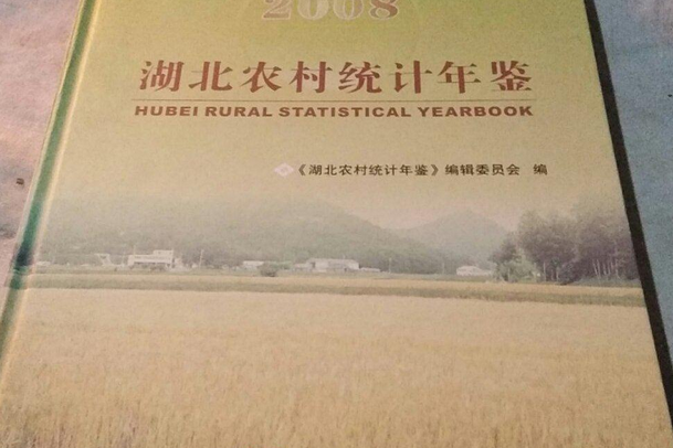 湖北農村統計年鑑(2007年中國統計出版社出版的圖書)