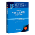 社會藍皮書：2020年中國社會形勢分析與預測