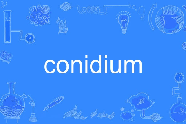 conidium