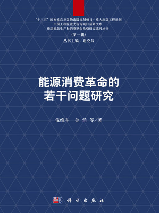 能源消費革命的若干問題研究