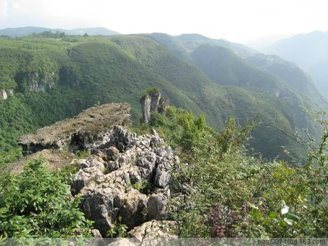 重慶仙女山國家森林公園