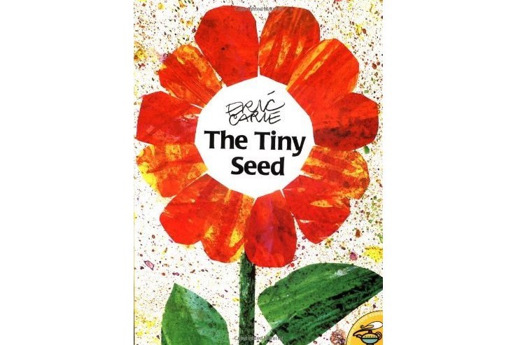 The Tiny Seed