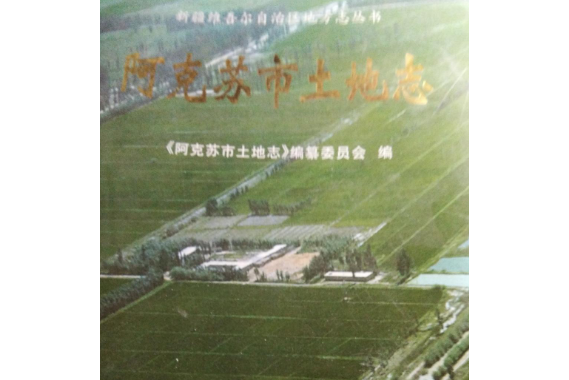 阿克蘇市土地誌