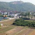 永興村(四川雅安市漢源縣富莊鎮永興村)