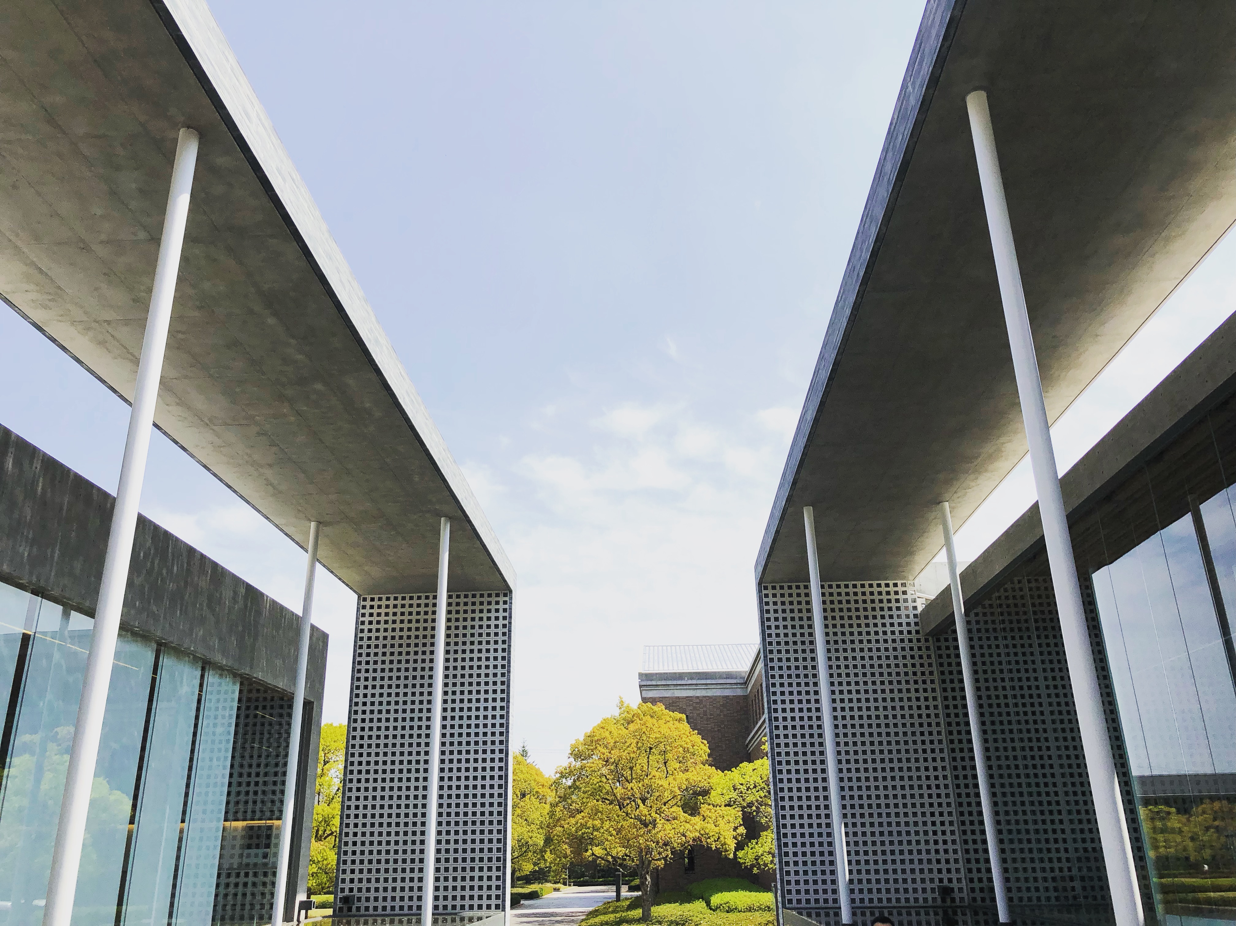 同志社大學京田邊校區 光館言館