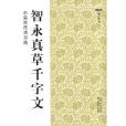 中國古代法書選：智永真草千字文