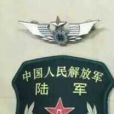 中國人民解放軍陸軍總部