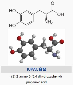 3,4-二羥苯丙氨酸