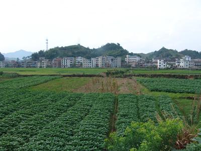 富戶村遠眺