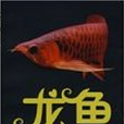 龍魚養殖新技術