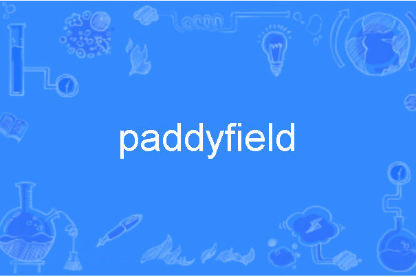 paddyfield