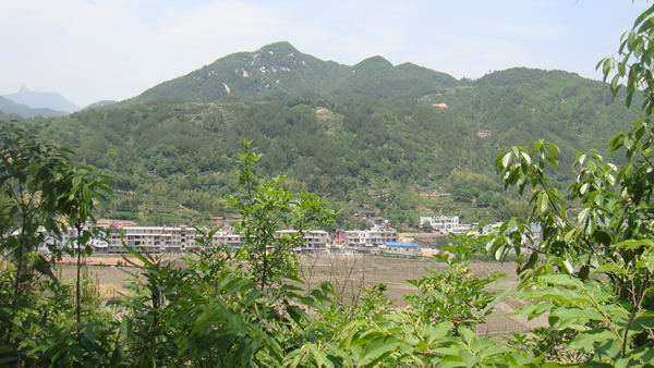 新三河村