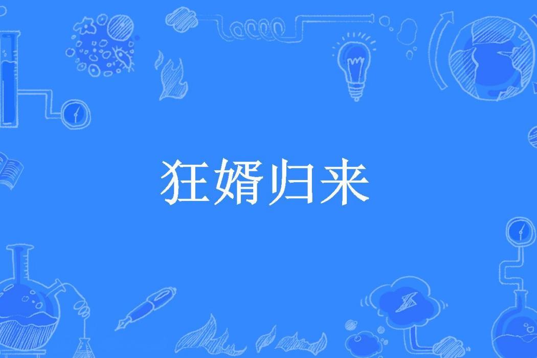 狂婿歸來(遇見所著小說)