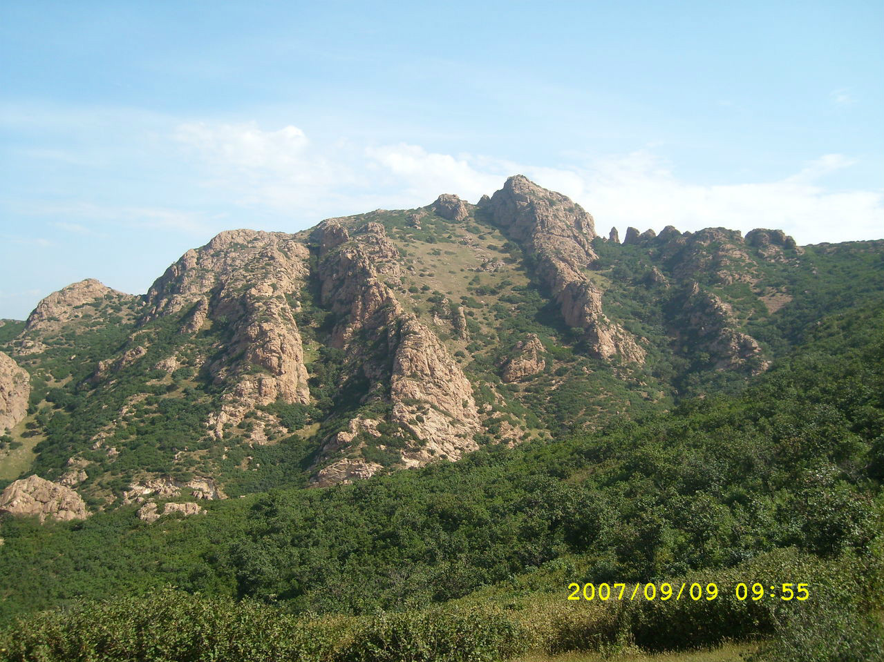 東駱駝村