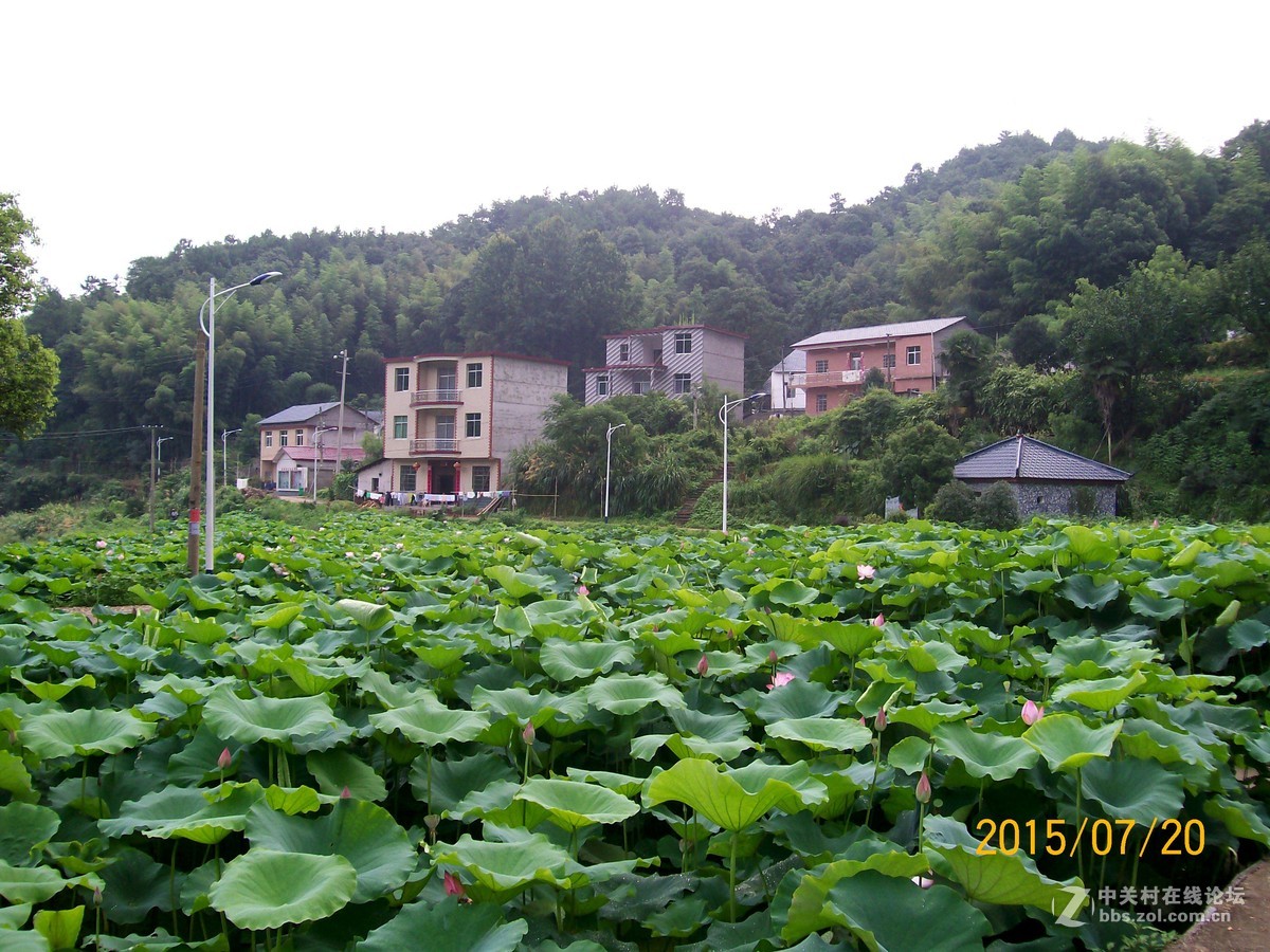 荷塘鄉(湖南湘潭市岳塘區轄鄉)