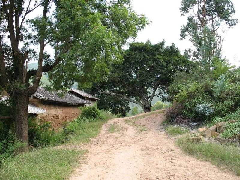 西山大尖山村