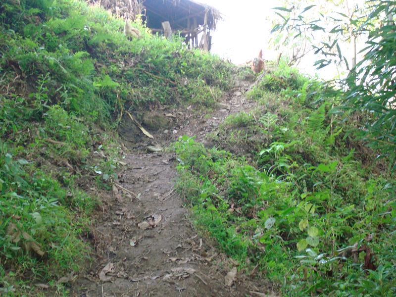 達卜落村村內山路