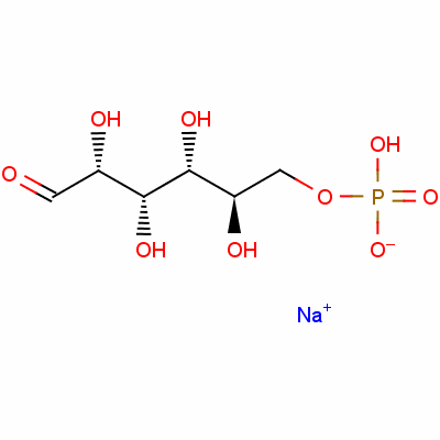 分子結構