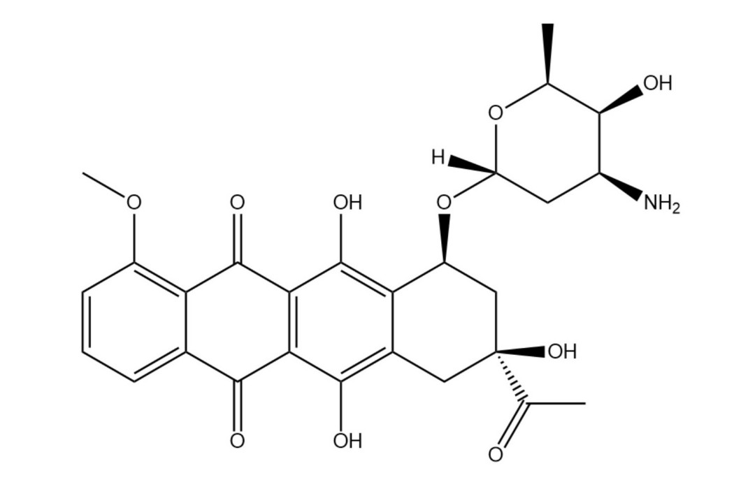 柔紅黴素(鹽酸正定黴素)